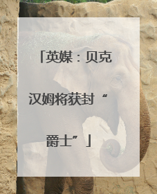 英媒：贝克汉姆将获封“爵士”