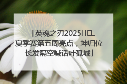 英魂之刃2025HEL夏季赛第五周亮点，坤归位长发隔空喊话叶孤城