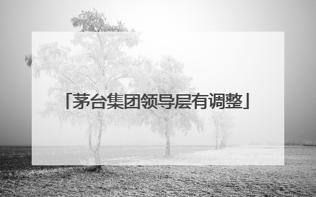 茅台集团领导层有调整