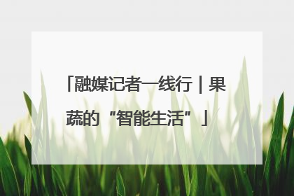 融媒记者一线行｜果蔬的“智能生活”