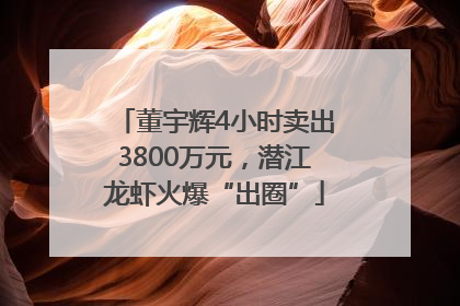 董宇辉4小时卖出3800万元，潜江龙虾火爆“出圈”