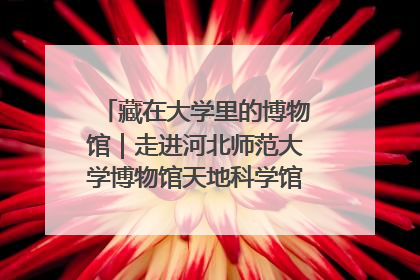 藏在大学里的博物馆｜走进河北师范大学博物馆天地科学馆：在校园里赴一场“宇宙之约”