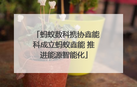 蚂蚁数科携协鑫能科成立蚂蚁鑫能 推进能源智能化