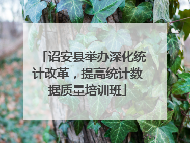 诏安县举办深化统计改革，提高统计数据质量培训班