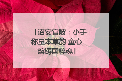 诏安官陂：小手称量本草韵 童心熔铸国粹魂
