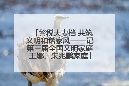 警税夫妻档 共筑文明和谐家风——记第三届全国文明家庭王娜、朱兆鹏家庭