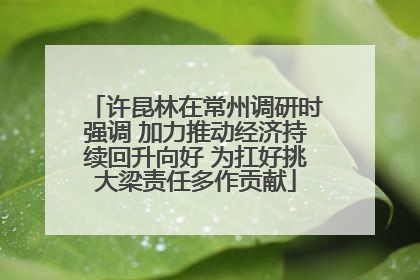 许昆林在常州调研时强调 加力推动经济持续回升向好 为扛好挑大梁责任多作贡献