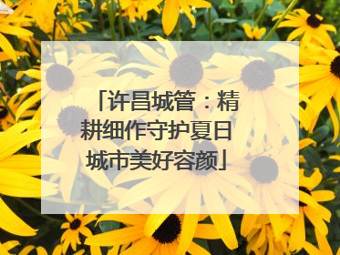 许昌城管：精耕细作守护夏日城市美好容颜