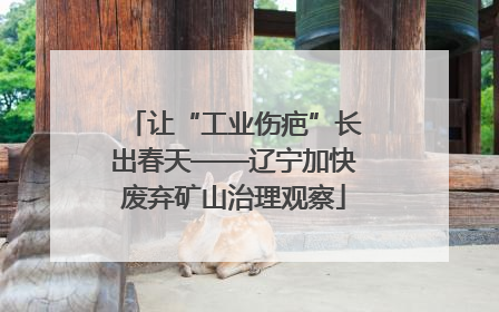 让“工业伤疤”长出春天——辽宁加快废弃矿山治理观察