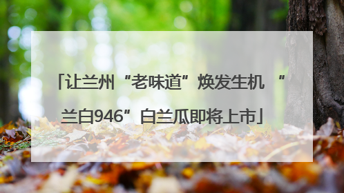 让兰州“老味道”焕发生机 “兰白946”白兰瓜即将上市