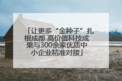 让更多“金种子”扎根成都 高价值科技成果与300余家优质中小企业精准对接