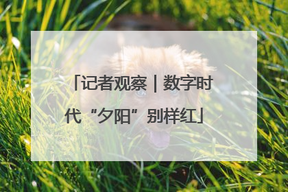 记者观察｜数字时代“夕阳”别样红