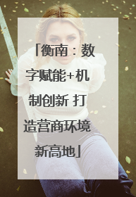 衡南：数字赋能+机制创新 打造营商环境新高地