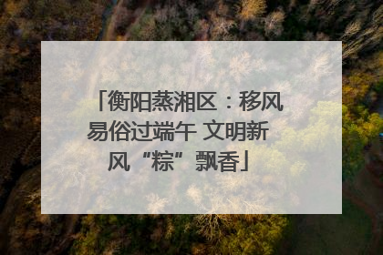 衡阳蒸湘区：移风易俗过端午 文明新风“粽”飘香