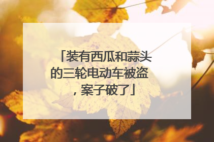 装有西瓜和蒜头的三轮电动车被盗，案子破了