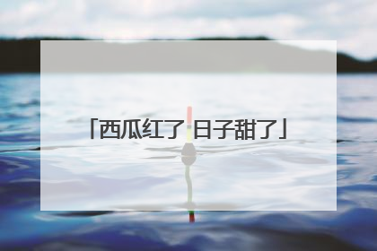 西瓜红了 日子甜了