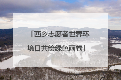 西乡志愿者世界环境日共绘绿色画卷