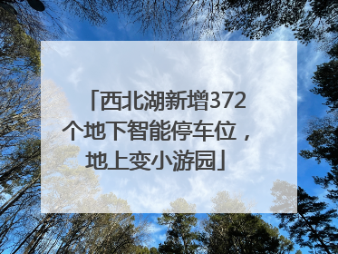西北湖新增372个地下智能停车位，地上变小游园