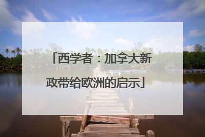 西学者：加拿大新政带给欧洲的启示