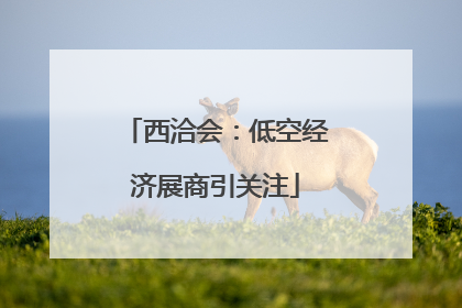 西洽会：低空经济展商引关注