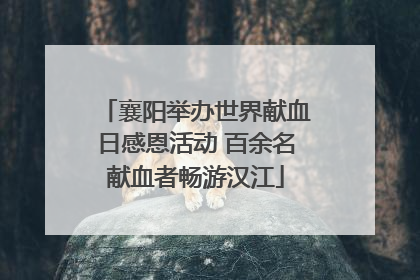 襄阳举办世界献血日感恩活动 百余名献血者畅游汉江