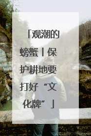 观潮的螃蟹丨保护耕地要打好“文化牌”