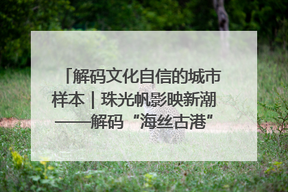 解码文化自信的城市样本｜珠光帆影映新潮——解码“海丝古港”北海的文化自信样本