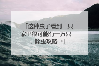 这种虫子看到一只家里很可能有一万只，除虫攻略→