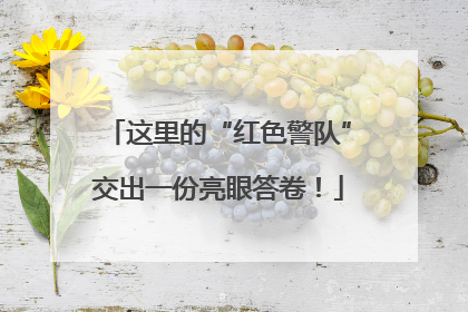 这里的“红色警队”交出一份亮眼答卷！