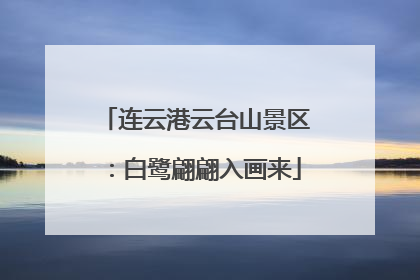连云港云台山景区：白鹭翩翩入画来