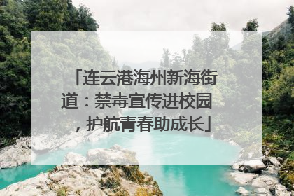 连云港海州新海街道：禁毒宣传进校园，护航青春助成长