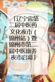 辽宁省第二届中医药文化夜市（锦州站）暨锦州市第二届中医康养夜市启幕