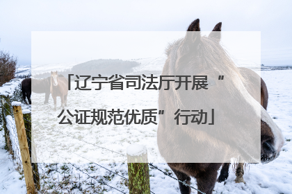 辽宁省司法厅开展“公证规范优质”行动