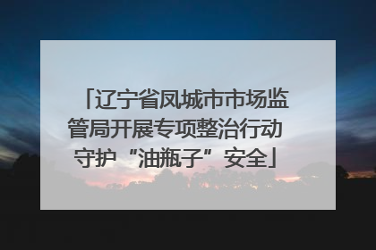 辽宁省凤城市市场监管局开展专项整治行动守护“油瓶子”安全