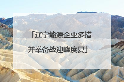 辽宁能源企业多措并举备战迎峰度夏