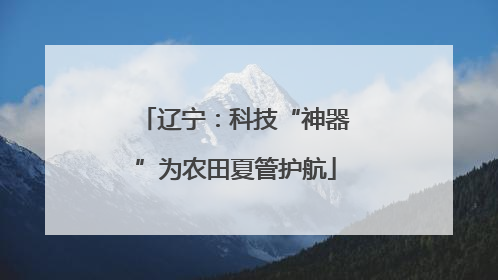 辽宁：科技“神器”为农田夏管护航