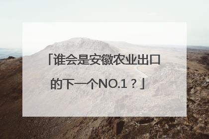 谁会是安徽农业出口的下一个NO.1？