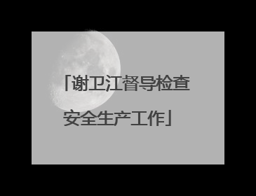 谢卫江督导检查安全生产工作