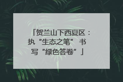 贺兰山下西夏区：执“生态之笔” 书写“绿色答卷”