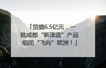 货值6.5亿元，一批成都“新津造”产品组团“飞向”欧洲！