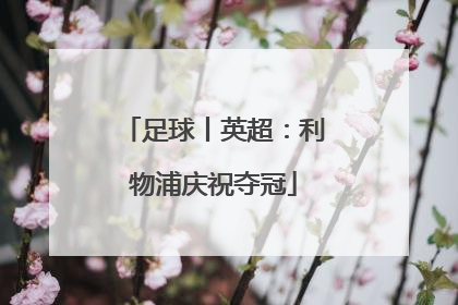 足球丨英超：利物浦庆祝夺冠
