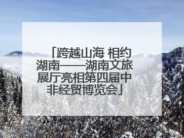 跨越山海 相约湖南——湖南文旅展厅亮相第四届中非经贸博览会