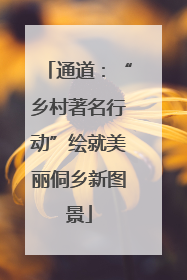 通道：“乡村著名行动”绘就美丽侗乡新图景