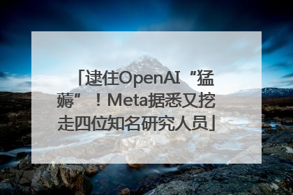 逮住OpenAI“猛薅”！Meta据悉又挖走四位知名研究人员