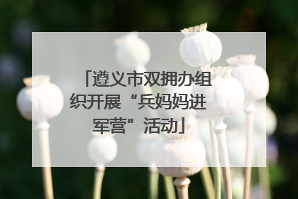 遵义市双拥办组织开展“兵妈妈进军营”活动