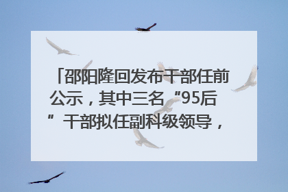 邵阳隆回发布干部任前公示，其中三名“95后”干部拟任副科级领导，均系硕士选调生