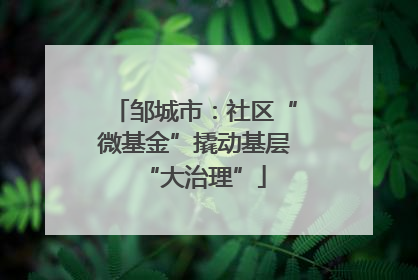 邹城市：社区“微基金”撬动基层“大治理”