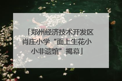 郑州经济技术开发区肖庄小学“面上生花小小非遗馆”揭幕
