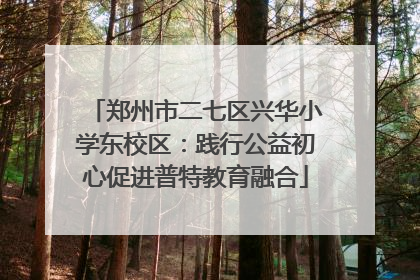 郑州市二七区兴华小学东校区：践行公益初心促进普特教育融合