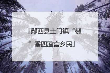 郧西县土门镇“椒”香四溢富乡民